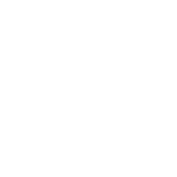 “日调教白虎”